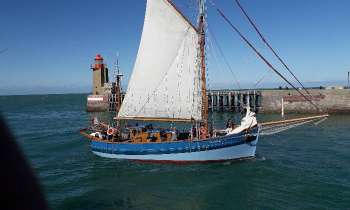 Puzzle 6816 - arrivee au port