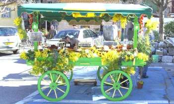 9177 | Tourrettes Loup - chariot décoré pour la fête des violettes à Tourrettes-sur-Loup 06148