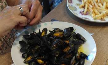 7328 | Moules frites - 