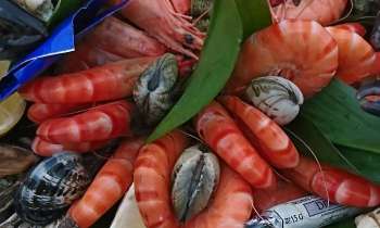 7542 | Crevettes - Bouquet de crevettes