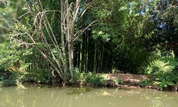 15379 | dégradé de verts - 