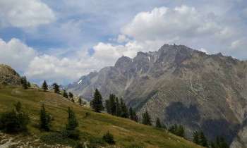 7343 | paysage alpin - 