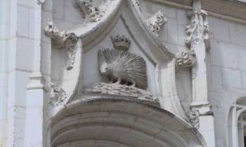 9233 | chateau de Blois - Le porc-épic emblème du roi Louis XII château de Blois