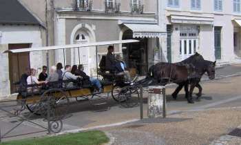 7593 | calèche - calèche touristique dans les rues de Blois