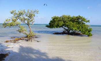 Puzzle 14212 - Les pieds dans l'eau