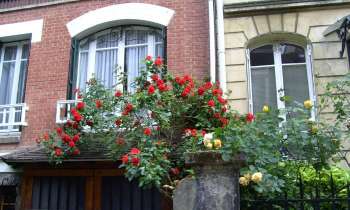 8690 | façades fleuries - façades fleuries dans Paris 75014