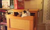 Puzzle Et sur des pulls en plus