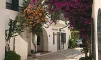 Puzzle maisons fleurie