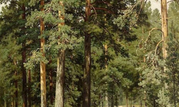 puzzle forêt de pins, Ivan Ivanovich Shishkin