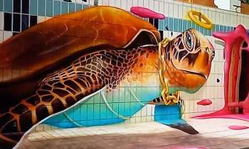 8540 | TORTUE marine - Décor street art