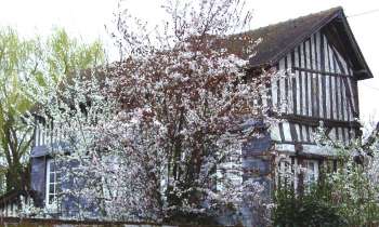 Puzzle 14856 - façade normande