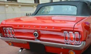 Puzzle 13890 - Mustang