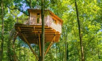 Puzzle maison dans les arbres - catégorie Paysages & Fleurs, puzzle gratuit en ligne