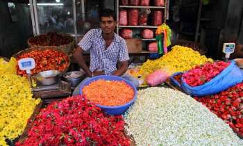 8424 | Marché aux fleurs - Marché aux fleurs à Pondichery Inde