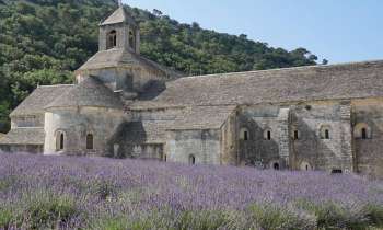 8666 | Abbaye de Sénanque - Abbaye cistercienne de Sénanque fondée au XIIiéme siècle, commune de Gordes dans le Vaucluse,