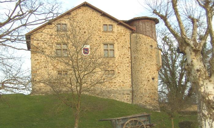 Puzzle gratuit château dans la catégorie Villes & Monuments jouable de 24 à 120 pièces.