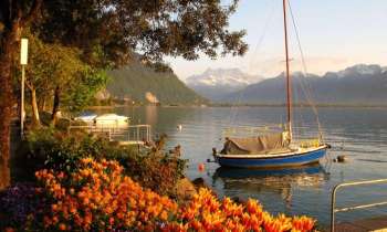 8129 | Lac Léman à Montreux - 