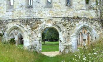 9114 | ruines d'abbaye - ruines de l'abbaye de Mortemer à Lisors 27370