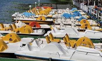 Puzzle 14095 - pédalos