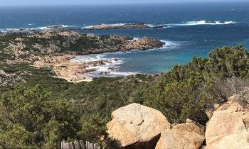 15408 | plage sud de la corse - 