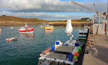 8563 | Le Conquet - Le Conquet est un petit port de pêche dans le Finistère Nord. Il est intéressant d'assister à l'arrivée des bateaux et au débarquement de leur pêche.