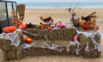 8569 | Halloween envahit la plage - Un banc décoré pour Halloween s'invite sur la plage
