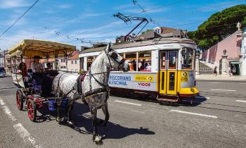 9690 | Lisbonne calèche et tram - 