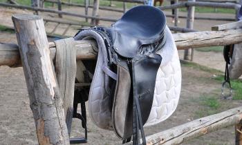 Puzzle 12546 - Selle de cheval