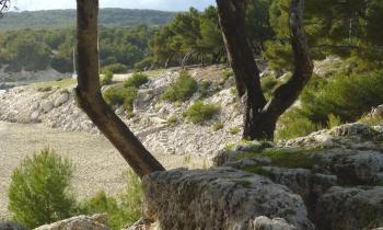 Puzzle plage - catégorie Paysages & Fleurs, puzzle gratuit en ligne