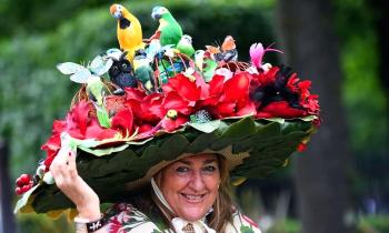 Puzzle 13586 - le chapeau du printemps