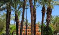 Puzzle Palmeraie d'Elche