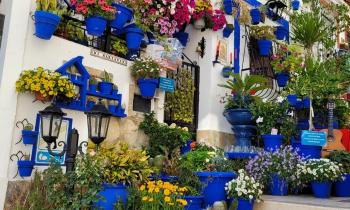 Puzzle Ruelle fleurie - catégorie Paysages & Fleurs, puzzle gratuit en ligne