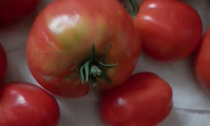 Puzzle gratuit Tomates dans la catégorie Cuisine & Gastronomie jouable de 24 à 120 pièces.
