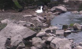 Puzzle 14116 - à la pêche