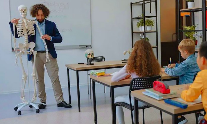 Puzzle gratuit je vous présente Os Arthur dans la catégorie Divers & Curiosités jouable de 24 à 120 pièces.