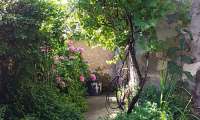 Puzzle Un coin de jardin