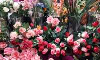 Puzzle Fleuriste