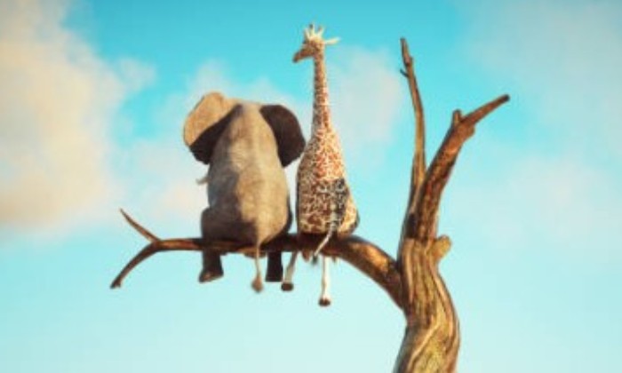 Puzzle gratuit Amis perchés dans la catégorie Animaux jouable de 24 à 120 pièces.