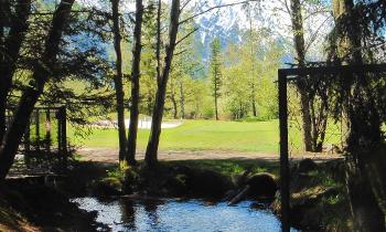 Puzzle sous bois - catégorie Paysages & Fleurs, puzzle gratuit en ligne