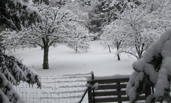 Puzzle paysage enneigé - catégorie Paysages & Fleurs, puzzle gratuit en ligne