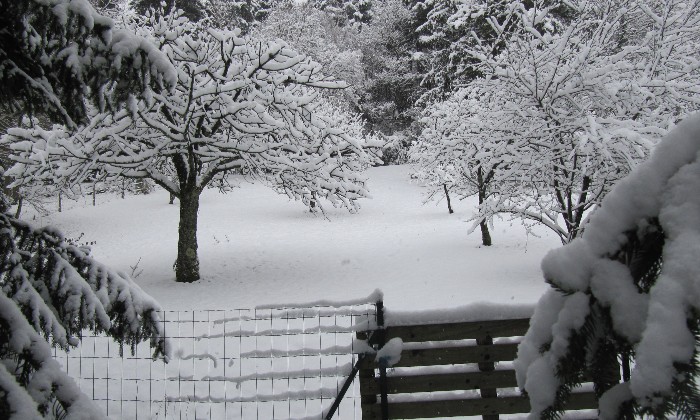 Puzzle gratuit paysage enneigé dans la catégorie Paysages & Fleurs jouable de 24 à 120 pièces.