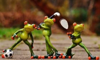 Puzzle Grenouilles sportives - catégorie Sports & Loisirs, puzzle gratuit en ligne