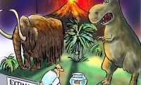 Puzzle vitrine extinction des animaux