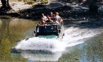 15387 | SAFARI - SAFARI