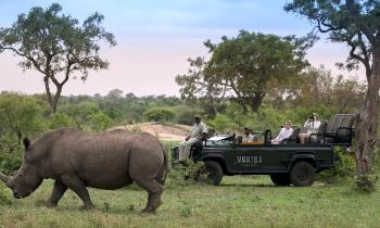 Puzzle SAFARI - catégorie Véhicules & Transports, puzzle gratuit en ligne