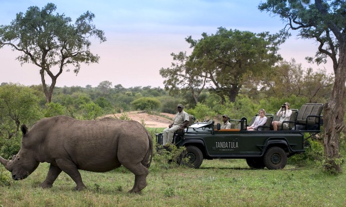 Puzzle gratuit SAFARI dans la catégorie Véhicules & Transports jouable de 24 à 120 pièces.