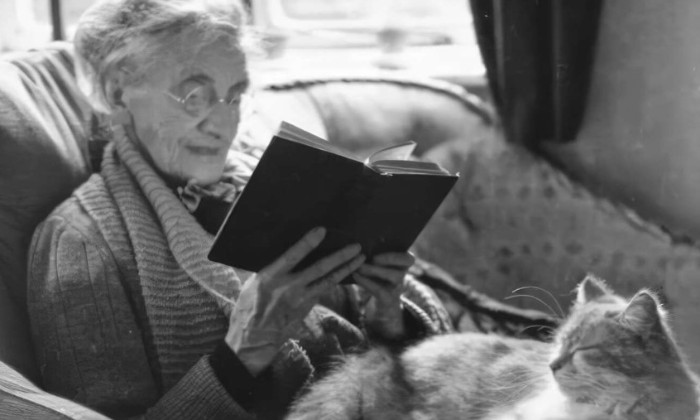 Puzzle gratuit Bouillotte à ronrons dans la catégorie Animaux jouable de 24 à 120 pièces.