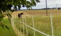 Puzzle repos dans la campagne