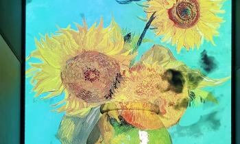 Puzzle 15216 - Tournesols