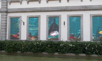 Puzzle 14252 - Aquarium de Paiiri Daiza